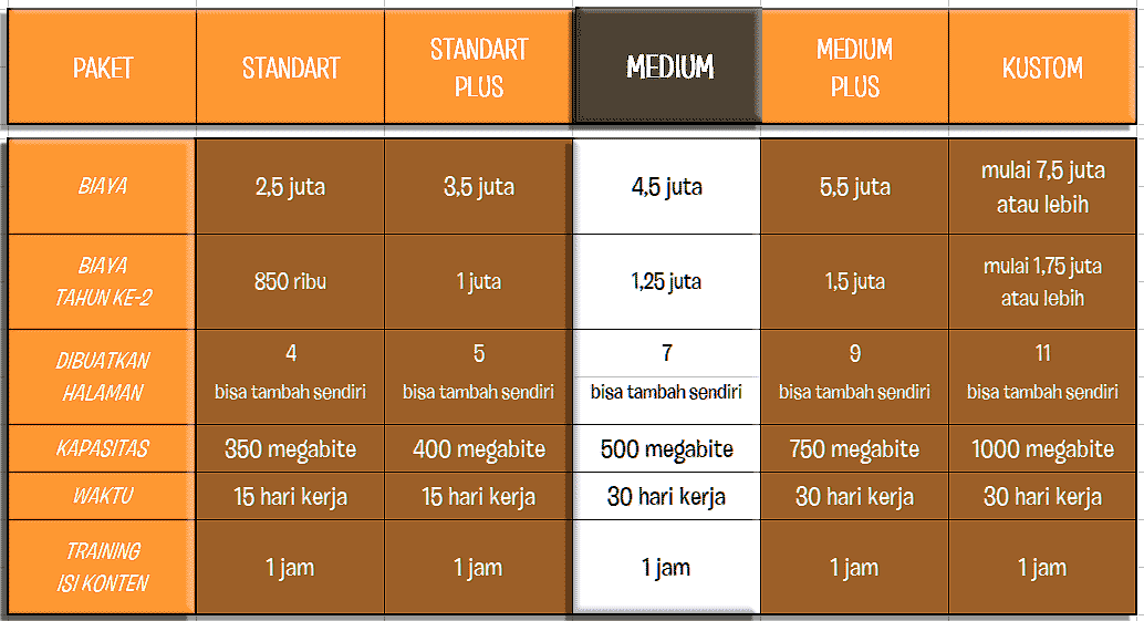 Harga pembuatan website di Magetan