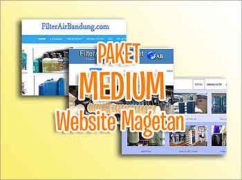 Paket Website Medium