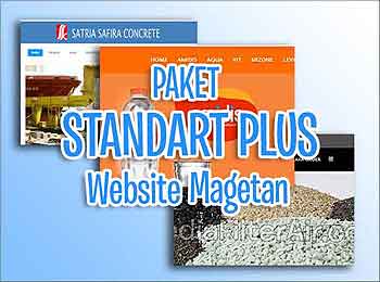 Paket Website Standart plus