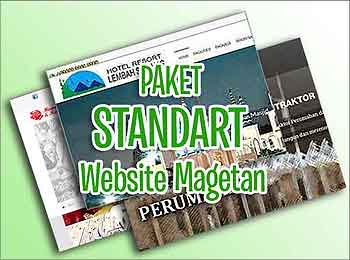 Paket Website Standar