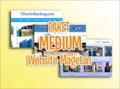 Pembuatan website paket medium Magetan