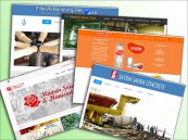 Portofolio pembuatan website standart Magetan