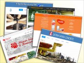 Portofolio pembuatan website medium Magetan