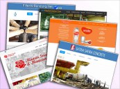 Portofolio pembuatan website medium plus Magetan