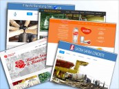 Portofolio pembuatan website standart Magetan